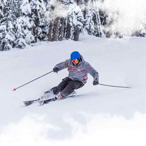 SOLD : Niche Tour Operator Offering Ski & Snowboard Instructor Training Courses (and Winter Sports Adventure Holidays) - UK Based